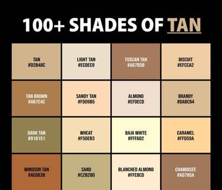 100+ Shades of Tan Color (Names, HEX, RGB & CMYK Codes) CreativeBooster