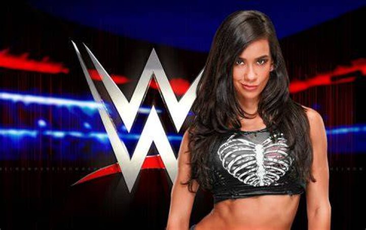 AJ Lee Image