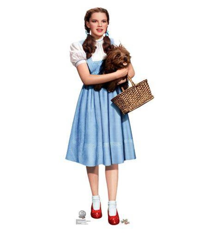 Dorothy's lawyers claim that she unknowingly allowed her husband to store his eight guns inside of her closet. The couple were not living together at the time of the alleged murder