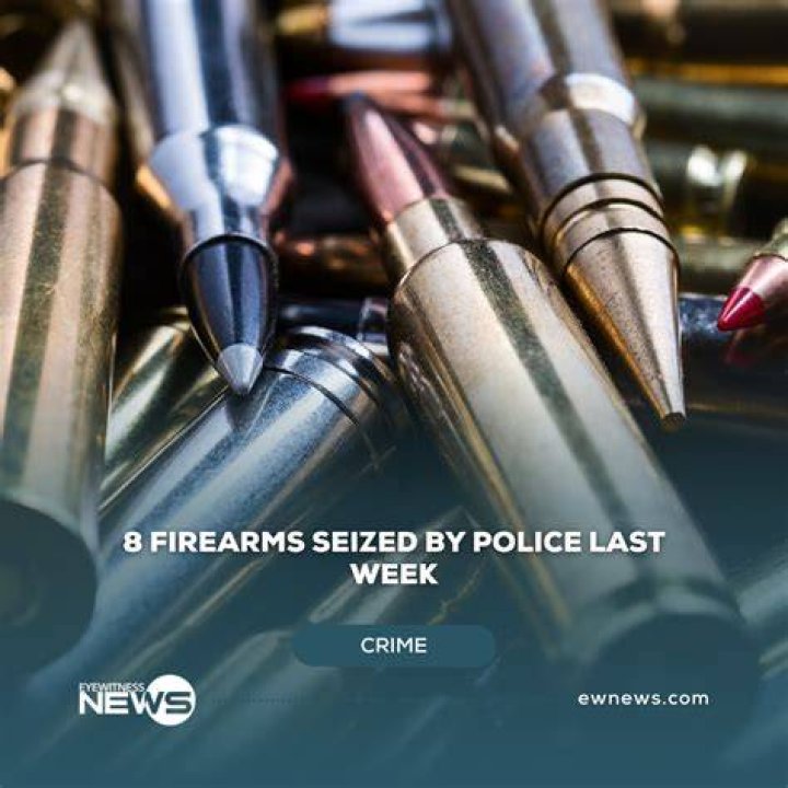 Eight firearms concealed in garbage bags and kept in a closet in the Briarwood home of Dorothy Hirsch