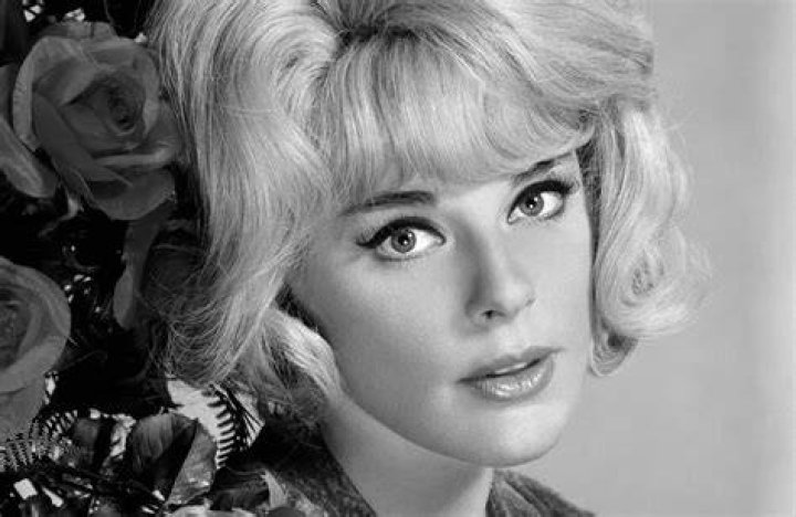 Elke Sommer Net Worth, Height-Weight, Wiki Biography, etc