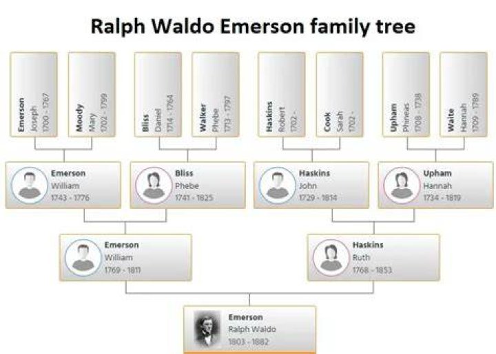 Emerson is a devoted family man and neighbors were shocked and saddened by the news he had allegedly attempted to crash a passenger plane carrying dozens of people