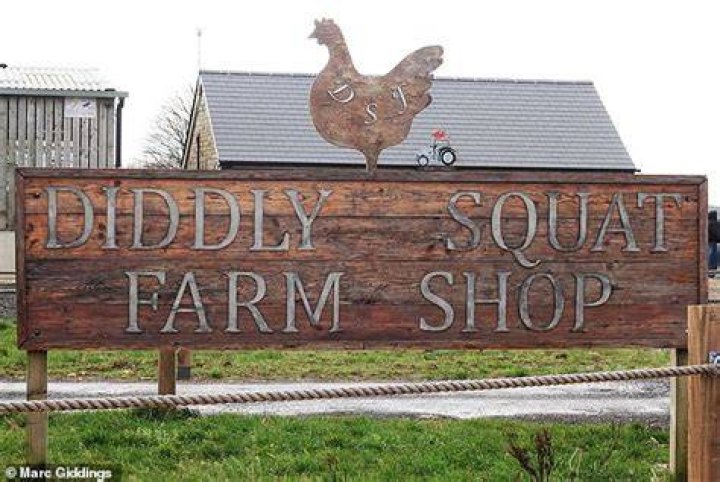His sparky relationship with Clarkson on the show has proved wildly entertaining and turned the young farmer into something of a celebrity, although Clarkson has referred to him as a 'rural half-wit'