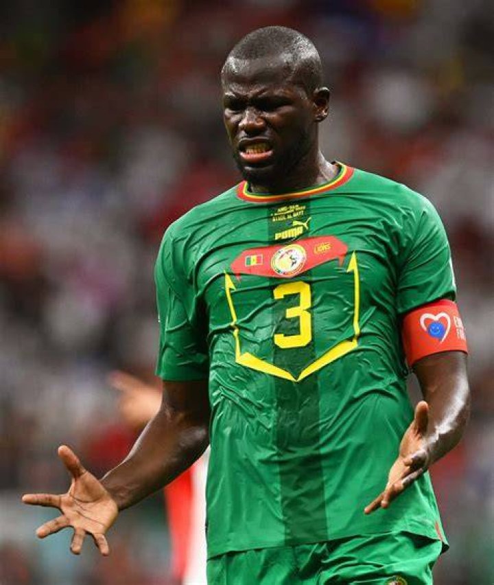 Kalidou Koulibaly Image