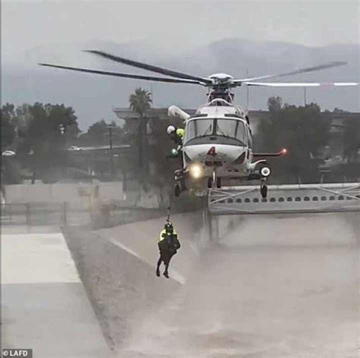 LAFD rescuing a man who jumped into the water to rescue his dog, and also safely locating the dog down river