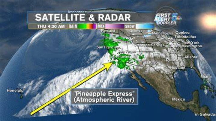 The Pineapple Express, a weather system lingering over much of the Sunshine State, moved in on Sunday just in time for the Grammy 's in Los Angeles